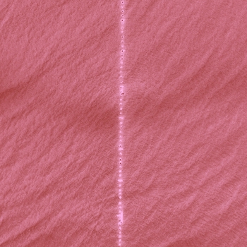 Triomphe - Fleur de lys