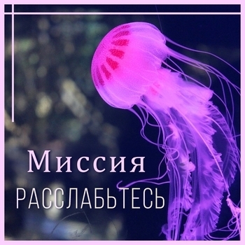 Zen Meditate - Natural Habitats