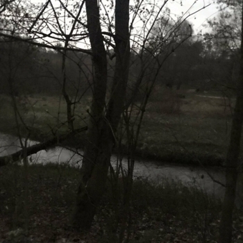 blawhitt - dried blood from the wounds