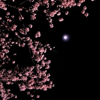 Loveusomuch - Passo Bem Solto (Slowed)