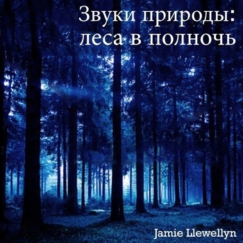 Jamie Llewellyn - Звуки природы леса в полночь