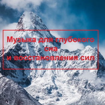 Sleep Makers Samples feat Nature Sounds, Exam Study Classical Music - Asleep in the Forest