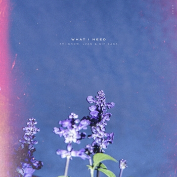 Avi Snow - All I Need