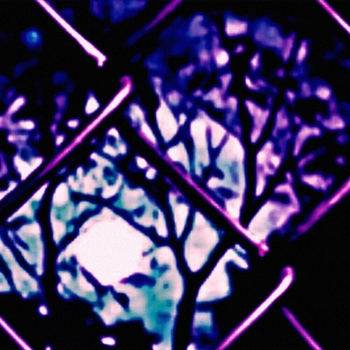 Bailey$ - Hal0 (feat. saraunh0ly)