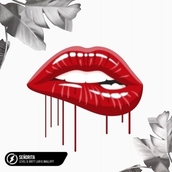 More Plastic - Fight