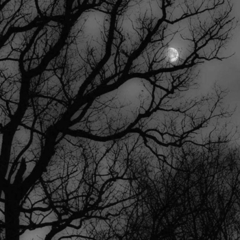 AestheticsPlus - The Beach (Instrumental, Slow)