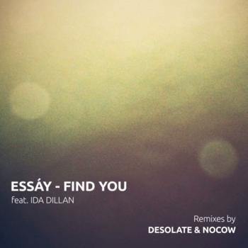 Essáy - Find You