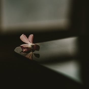 Glass Tides - Talking To Ghosts