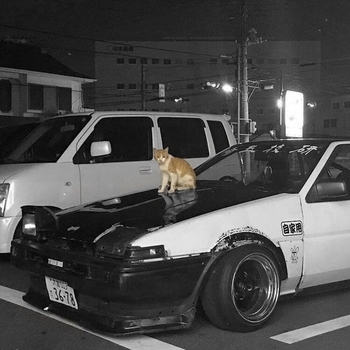 soviss, Chillify - Blizzard