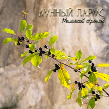 Лунный парус - Вечерний парк