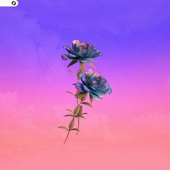 Louisette - Amour de vacances