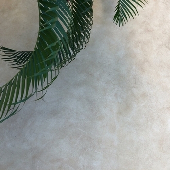 TALKING TO GIRAFFES - headtop