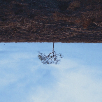 Oleg Byonic - Coming for You