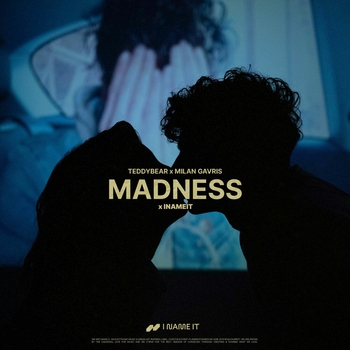 teddybear - Madness