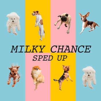 Sped-O - Never Not (Speed Version)