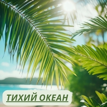 Yellow Claw, €URO TRA$H - Body Pop (Acapella)