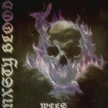 Wels, Devilish Trio - SHAKE THAT