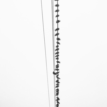 Eleven - Astral Silence