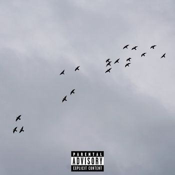 De WATER - Бардак