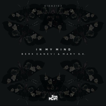 Nico Aviario - Planet B