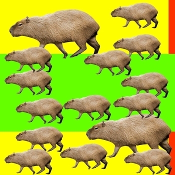 Капибара - КАПИБАРА