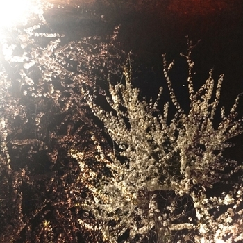 Rory in early 20s - time has come?