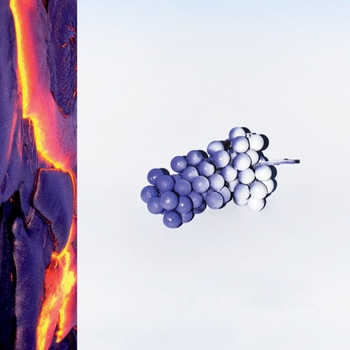 Hot Sugar - Your Nails Look so Pretty