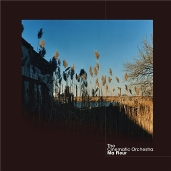 The Cinematic Orchestra - To Build A Home (Radio Version)