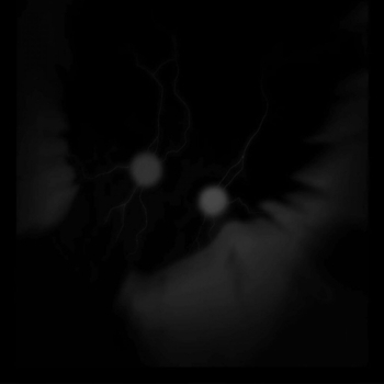 WXCHSXN, MRL, Dj Twoz - The Automotivo Intercelestial