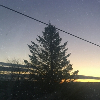 The Virus and Antidote, TELARAN, KruddTheGuru - NoSleepRemix