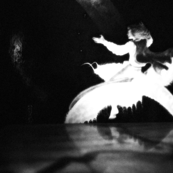 полья - светло