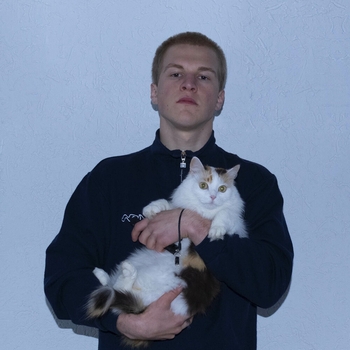 LICK PAW Ski - Staying Here