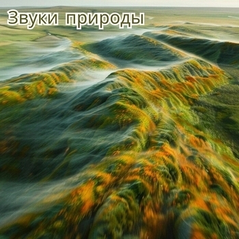 Звуки изобилия - Сияние достатка