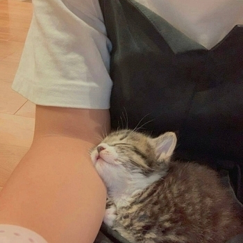 Wanks - Itsy Bitsy Spider