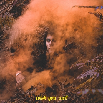 Bleu Bleu Bleu! - Go Through the Night