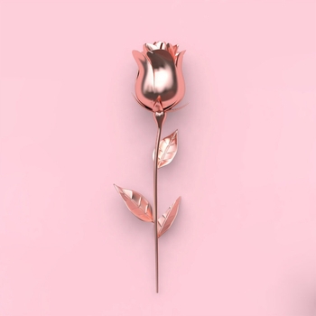 Haxz - Ainda to no X!