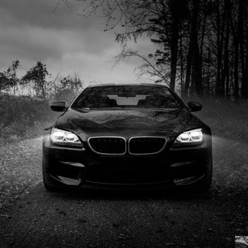 Borfly - Mystic House