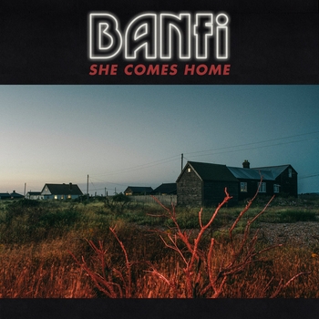 Banfi - Horror Vacui