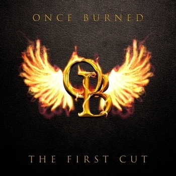 Once Burned - I Hate Everything About You