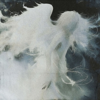 akira2k - angel dust (slowed + reverb)