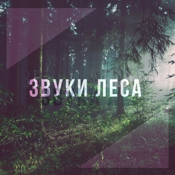 Хорошие звуки для ума и тела - Hочная молитва