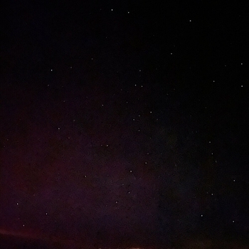 Potato-G - Lost Woods Lofi