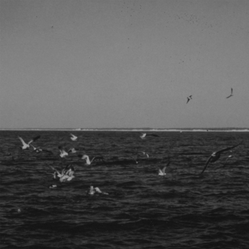 Cemeteries - Can You Hear Them Sing?