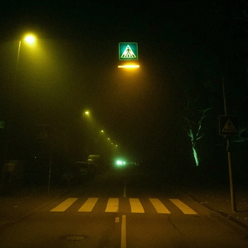 Sego Lily - State of My Life