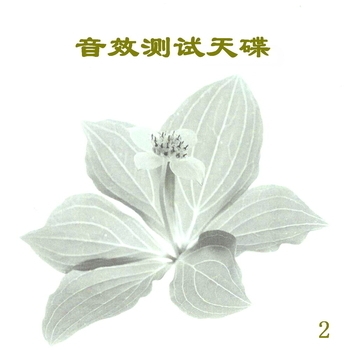 Артист 新时代乐队