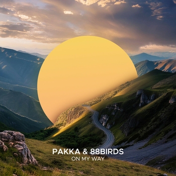 Melissa XYZ - Falling (Pakka Extended Remix)