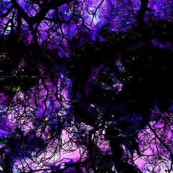 BackstabbingBastard - Again