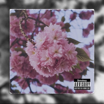 Smokey Da Bear - Quiet Nights