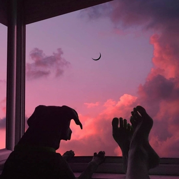 LRN Slime - Who Would You Die For