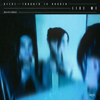 Reebz, Toronto Is Broken - Drip Feed